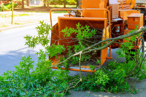 Best Commercial Tree Services  in Sunnyslope, WA